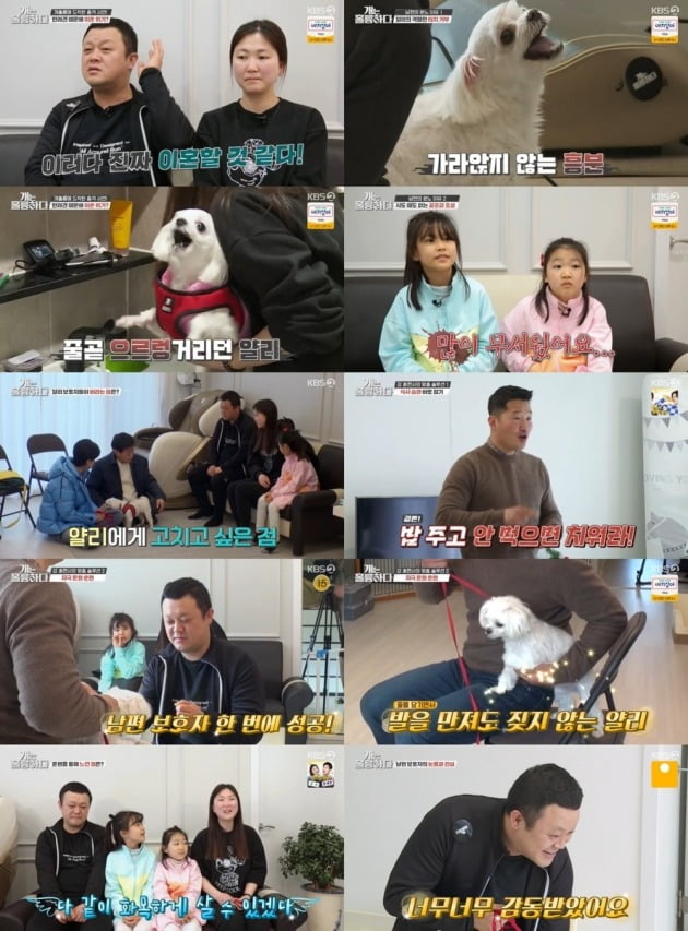 사진=KBS2 ‘개는 훌륭하다’ 방송 화면 캡처