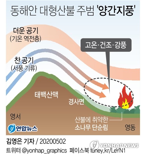 [울진삼척 산불] LNG기지 위협한 화마 기세…'양간지풍'의 위력
