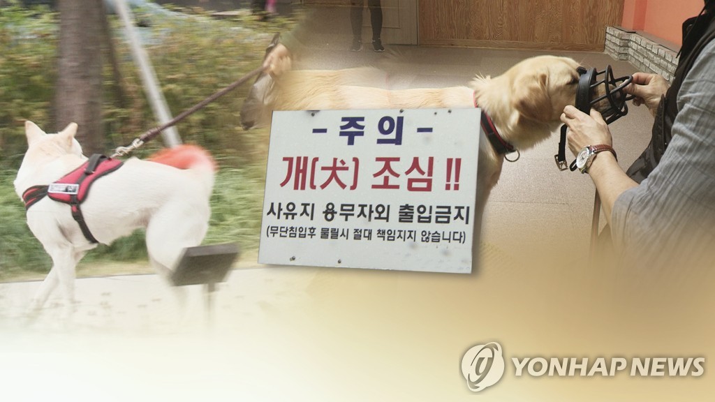 '시민·동물 조화롭게 공존'…지자체들, 반려동물 문화확산 앞장