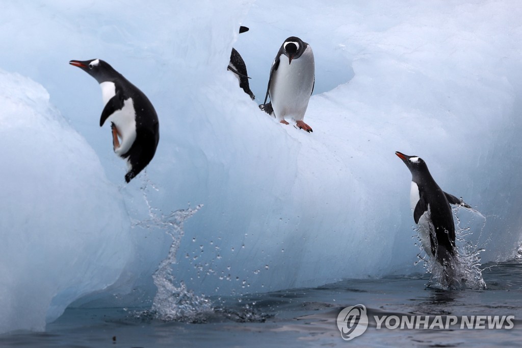 "남극 동부 기온 평시보다 32∼50℃ 높아…전례없는 이상기후"