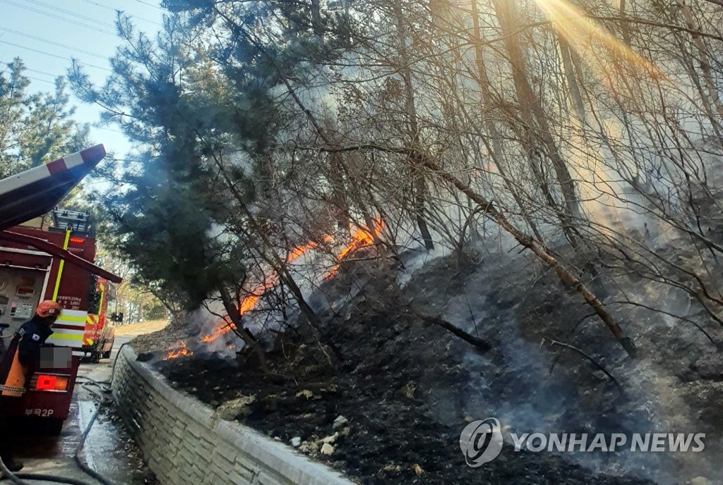 부산 아홉산 산불…임야 0.7㏊ 태우고 진화(종합)