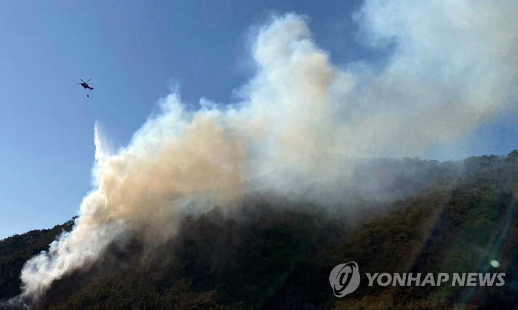 부산 아홉산 산불…임야 0.7㏊ 태우고 진화(종합)