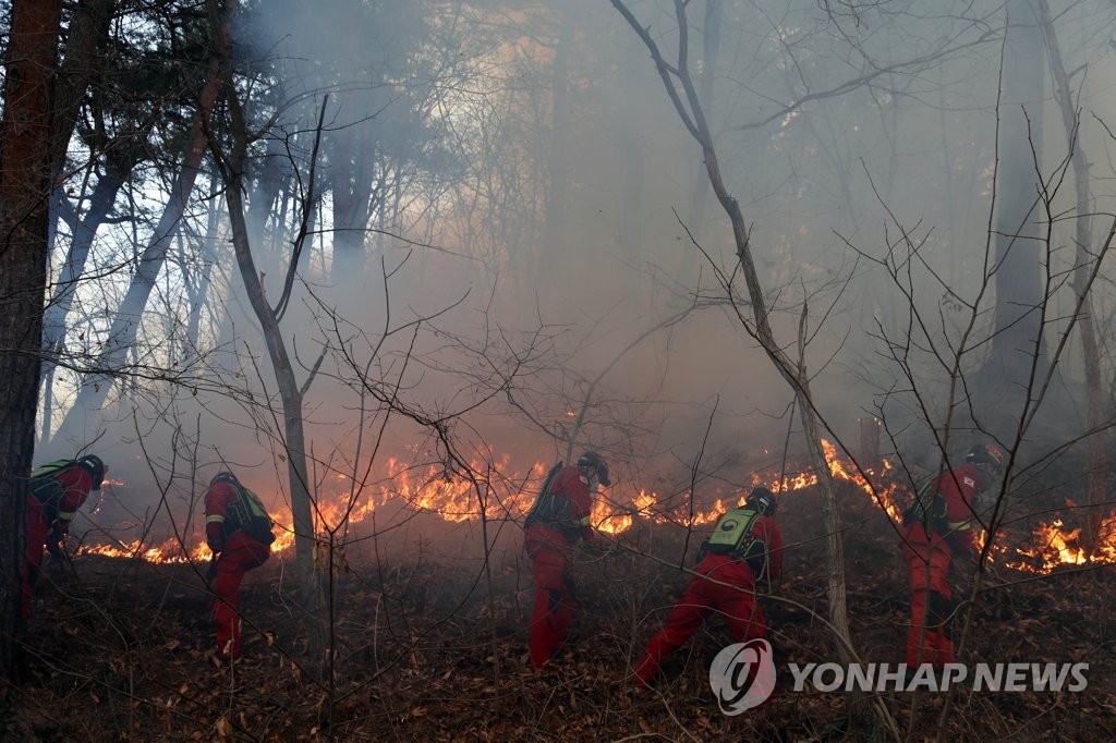 [르포] 울진-삼척 7번국도 주변 전쟁터 방불…10m앞 분간 어려워