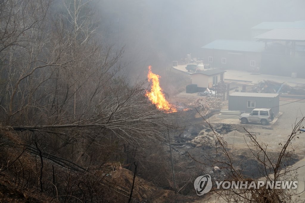 [르포] 울진 북면 전역이 화마에 휩싸여