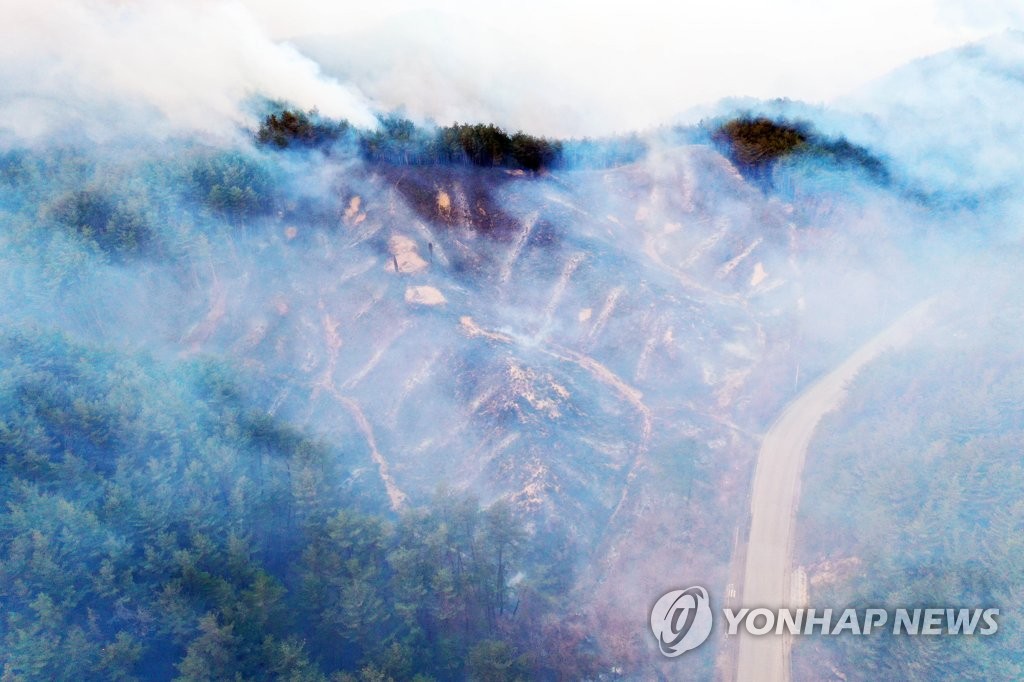 초대형 산불에 터전 잃은 이재민…장·단기 지원책 마련