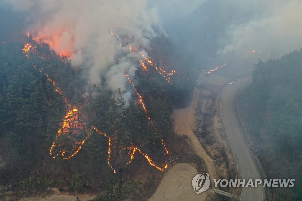강풍·마른 날씨 전국 8곳 동시다발 산불…"10년새 최대 피해"