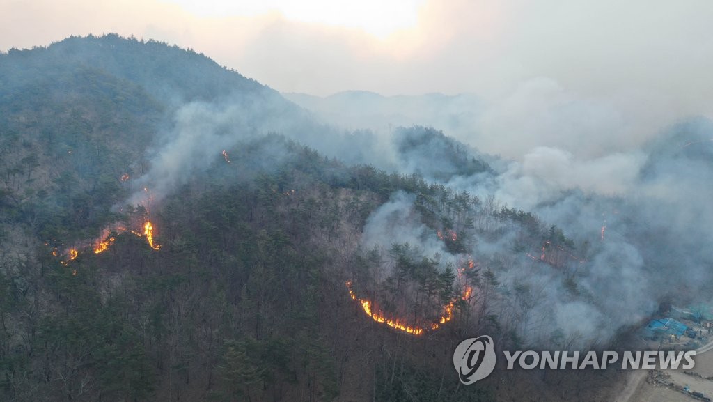 강풍·마른 날씨 전국 8곳 동시다발 산불…"10년새 최대 피해"