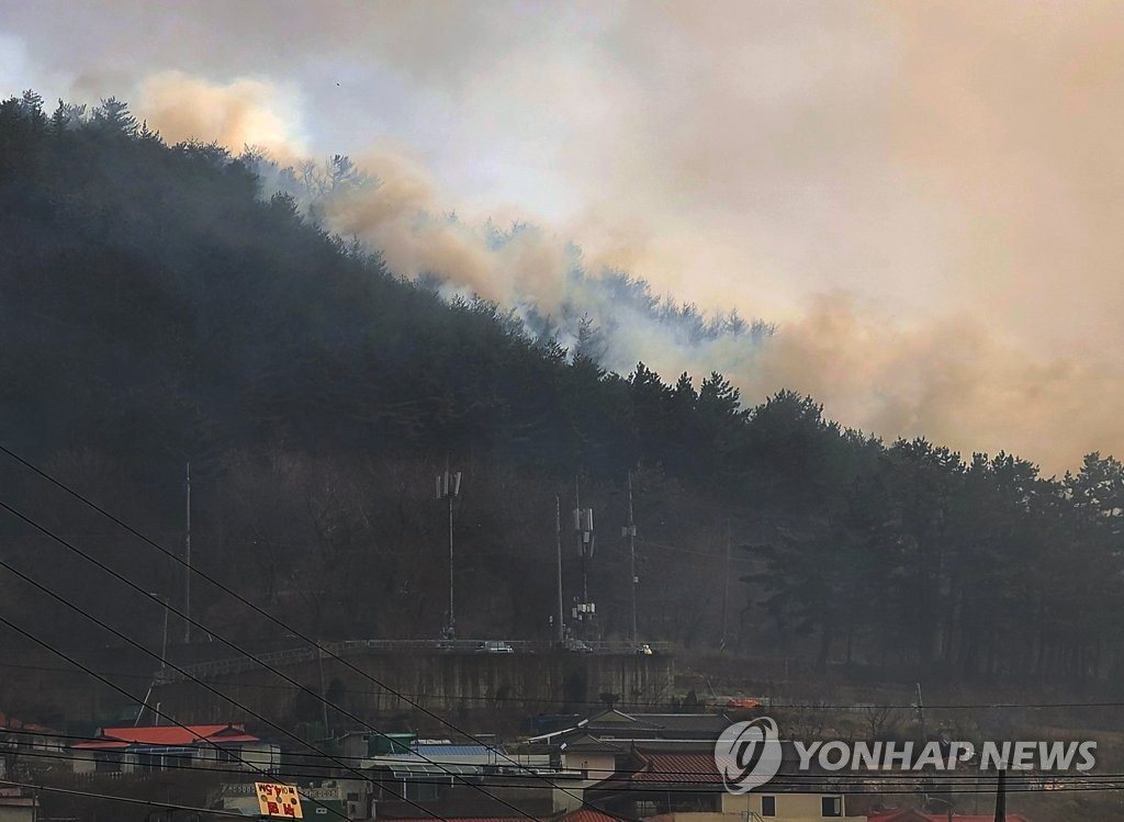 산림청 "작년 소각산불 가해자 89% 검거…최고 징역 8개월 선고"