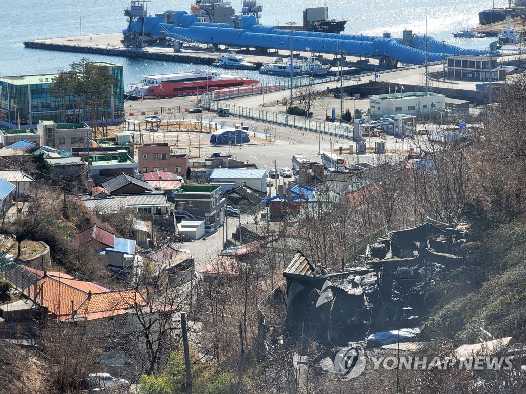 [동해안 산불] '토치 방화·담뱃불 실화' 산림 1만3천여ha 초토화