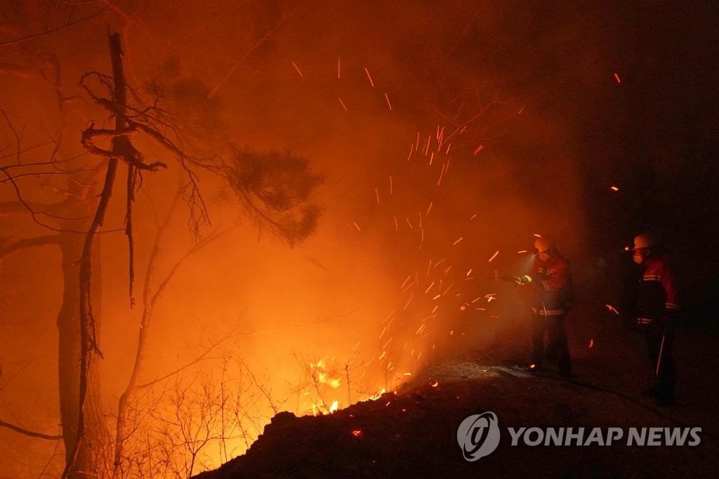 [동해안 산불] 최전선 진화대원 불갈퀴 하나로 불길·추위와 '밤샘 사투'