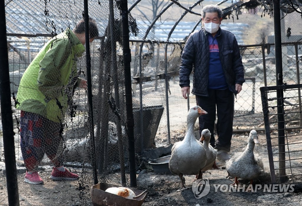 [동해안 산불] 정부, 재난안전특별교부세 34억2천만원 지원