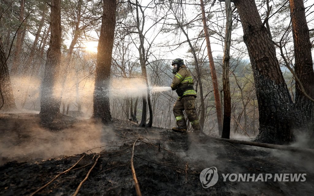 울진·삼척 산불 장기화하나…"화세 강해 진화까지 시간 소요"