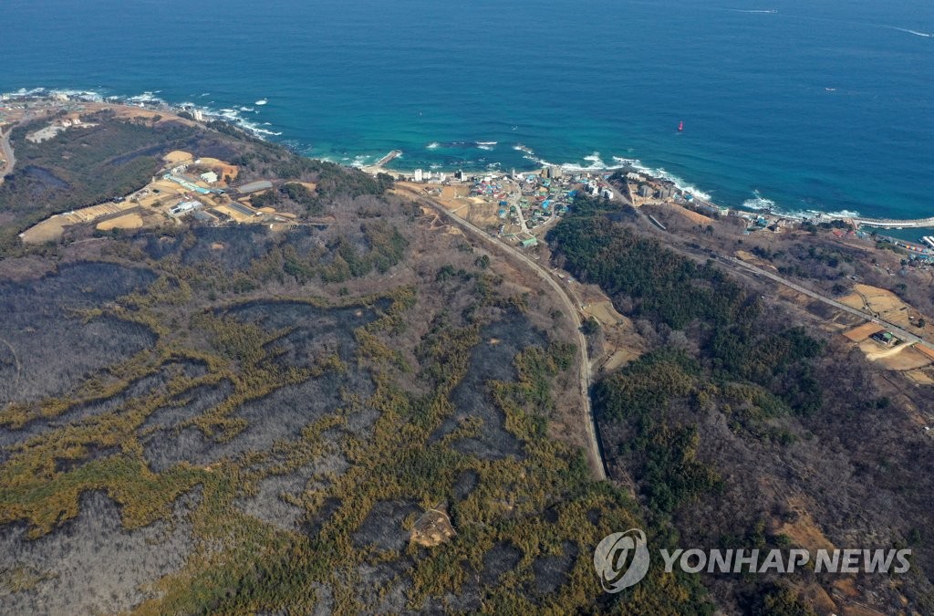 강릉시장 "머리 숙여 깊이 죄송하다" 동해 산불피해 사과·위로