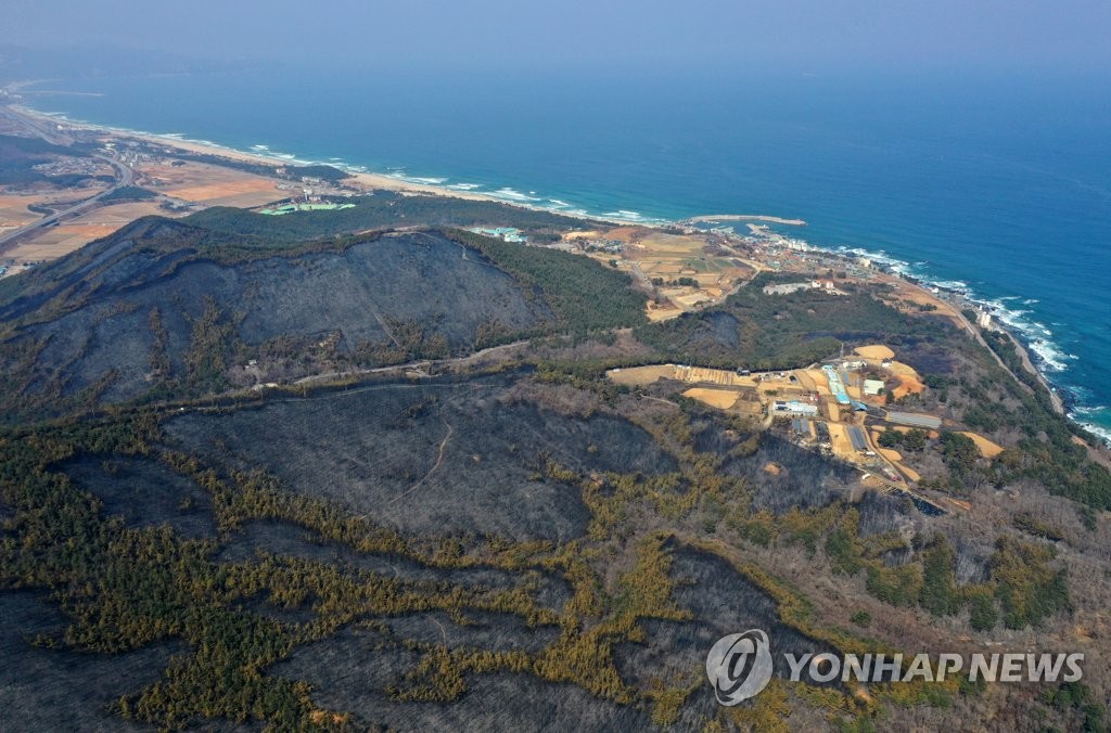 [동해안 산불] 강릉·동해 산불 90시간 만에 진화…4천㏊ 잿더미