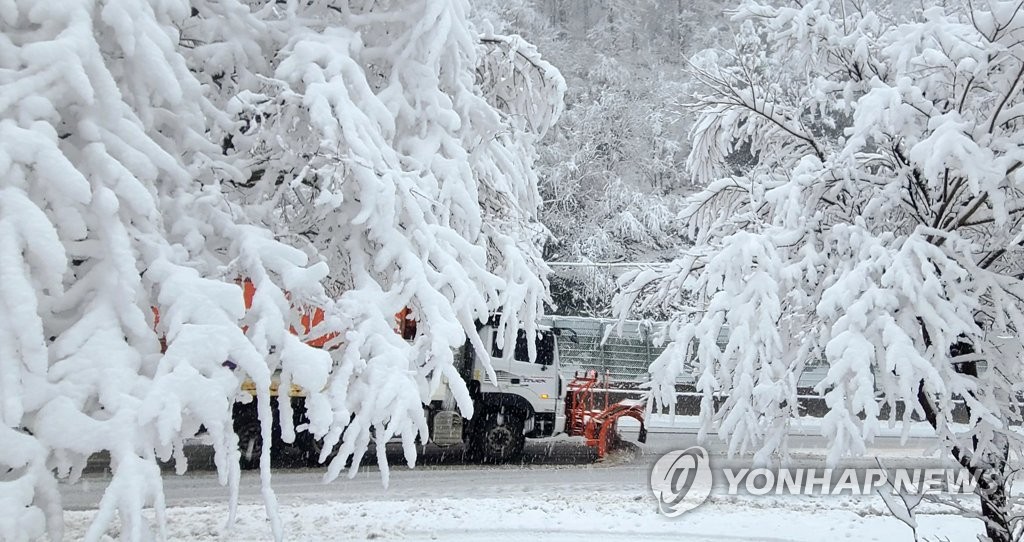 강원 봄 시샘 눈 '펑펑'…향로봉 32.3㎝, 설악산 23.3㎝