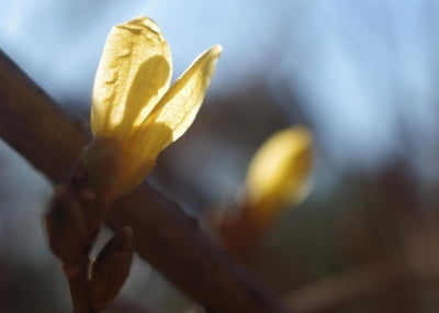 [내일날씨] 맑다가 밤부터 구름 많아져…일교차 최대 15도