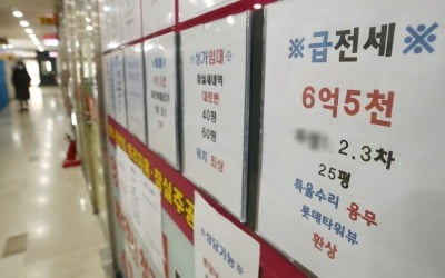 국민·농협은행도 전세대출 제한 없앤다…5대은행 전세대출 정상화 