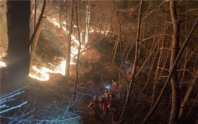 [속보] 합천·고령 산불, 27시간 34분 만에 진화