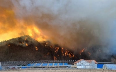 [속보] 소방청 "울진산불로 주택 12채·창고 3채, 비닐하우스 1동 소실"