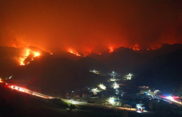 경북 울진군 야산에서 시작된 산불이 약 2km의 산등성이를 불태우며 강원도 삼척시로 번지고 있다. 사진=연합뉴스