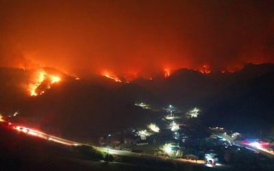 울진 산불에 길 막히고 통신마저 끊겨…지역 주민들 '발 동동'