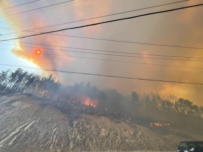 울진 산불, 강풍에 무서운 기세로 남하…화재 진압 '난항'