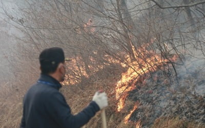 '동해안 산불' 나흘째…산림 피해, 서울 면적 4분의 1 넘어