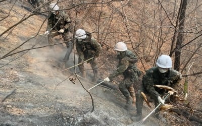 '산불 피해' 병역의무자, 최대 60일까지 입영 연기 가능