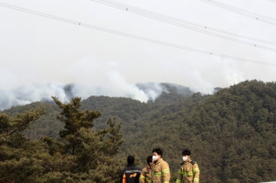 [속보] 산림청장 "울진 산불, 금강송 군락지까지 약간 넘어와"