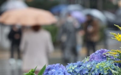 [내일 날씨] 우산 챙기세요…전국 흐리고 대부분 지역에 봄비