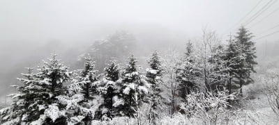 [내일날씨] 전국 대부분 비 또는 눈…강원 산지 20cm 폭설