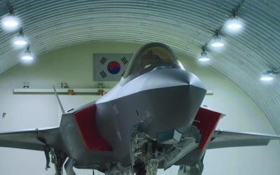 F-35A, 충돌한 독수리에 내부 차단벽도 뚫려…하마터면 추락할뻔