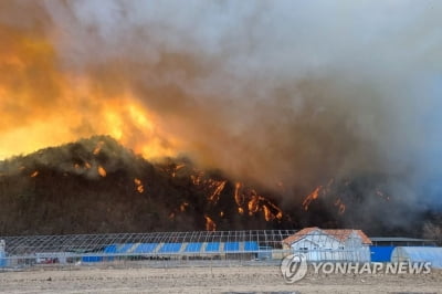 울진 산불 삼척까지 확산…원전 지나 LNG 생산기지 위협(종합3보)