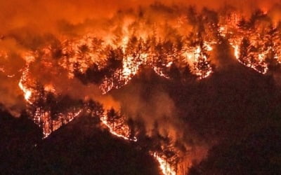 울진·삼척 산불 영향권 3300㏊…최근 10년 사이 최대 피해