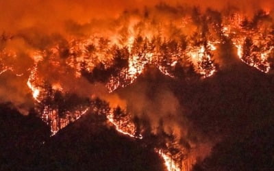 울진에 건조경보·강풍주의보 동시 발령…산불진화에 최악