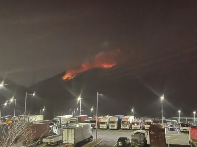 하루 만에 부산 아홉산 또 산불…임야 6천㎡ 태우고 진화(종합)