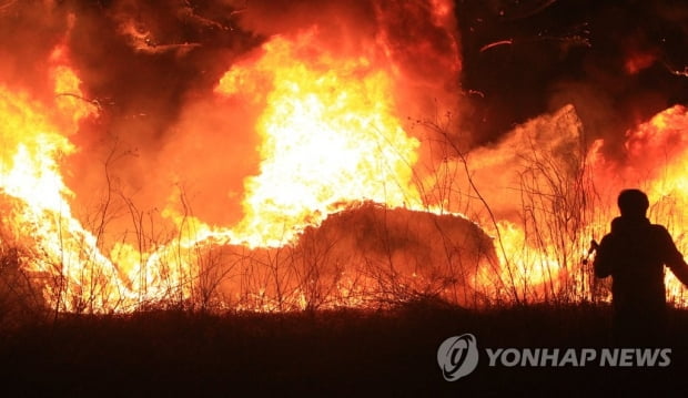 "주민들이 무시해서…" 강릉·동해 불바다 만든 방화범 구속영장