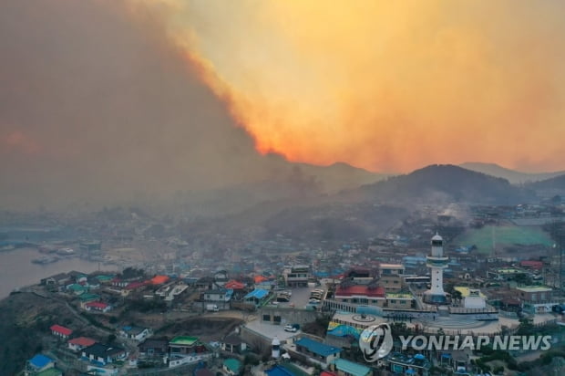 [동해안 산불] '토치 방화·담뱃불 실화' 산림 1만3천여ha 초토화