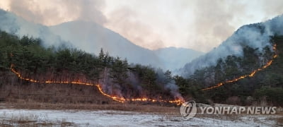 [동해안 산불] 여의도 53배 산림 잿더미…463개 시설 소실, 7천330명 대피(종합)