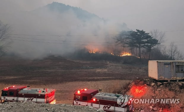 [동해안 산불] 서울면적 4분의1 이상 피해…진화율 울진·삼척 40%, 강릉 80%