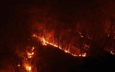 [동해안 산불] 서남내륙 사수가 분수령…"동풍으로 바뀌기 전 주불 진화"