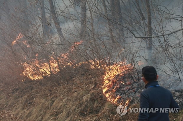 산림청장 "오늘 중 화두 제압 목표…주불 진화는 8일 오전 예상"