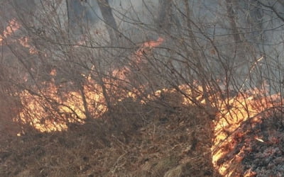 산림청장 "오늘 중 화두 제압 목표…주불 진화는 8일 오전 예상"