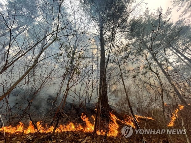 산림청장 "오늘 중 화두 제압 목표…주불 진화는 8일 오전 예상"