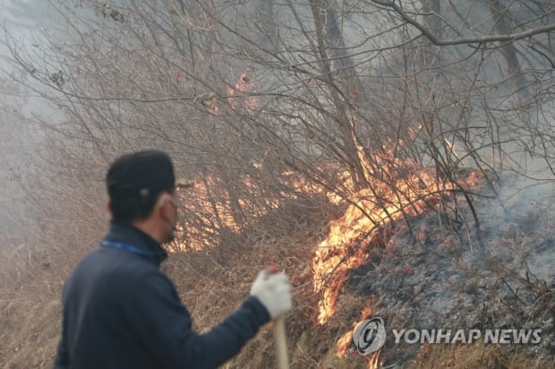 산림청장 "오늘 중 화두 제압 목표…주불 진화는 8일 오전 예상"