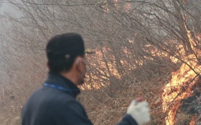 산림청장 "오늘 중 화두 제압 목표…주불 진화는 8일 오전 예상"