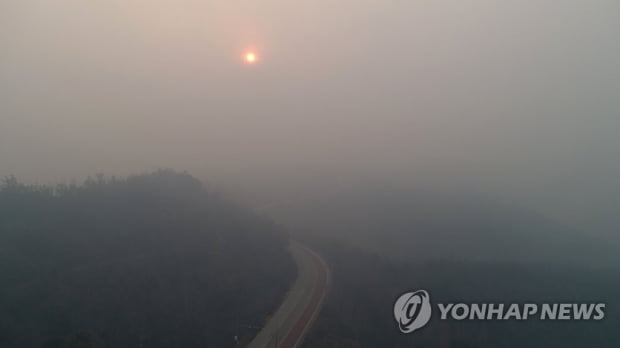 금강송 근접 불 머리 제압에 총력전…강릉·동해는 진화에 속도