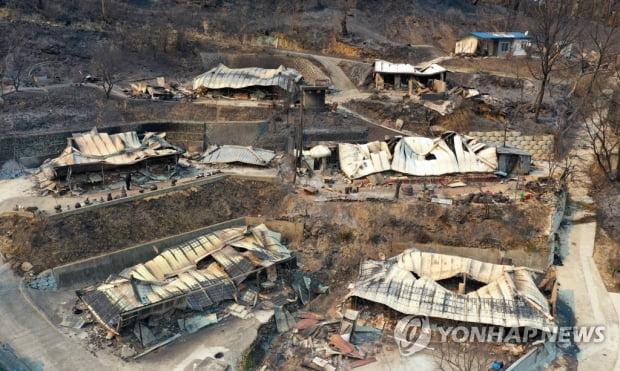 금강송 근접 불 머리 제압에 총력전…강릉·동해는 진화에 속도