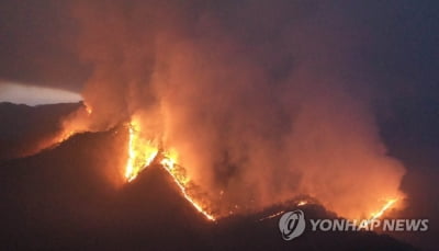 금강송 근접 불 머리 제압에 총력전…강릉·동해는 진화에 속도