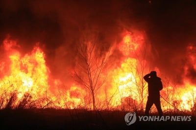 [동해안 산불] 전북도, 피해지역 주민 지원…"일상 복귀 돕겠다"